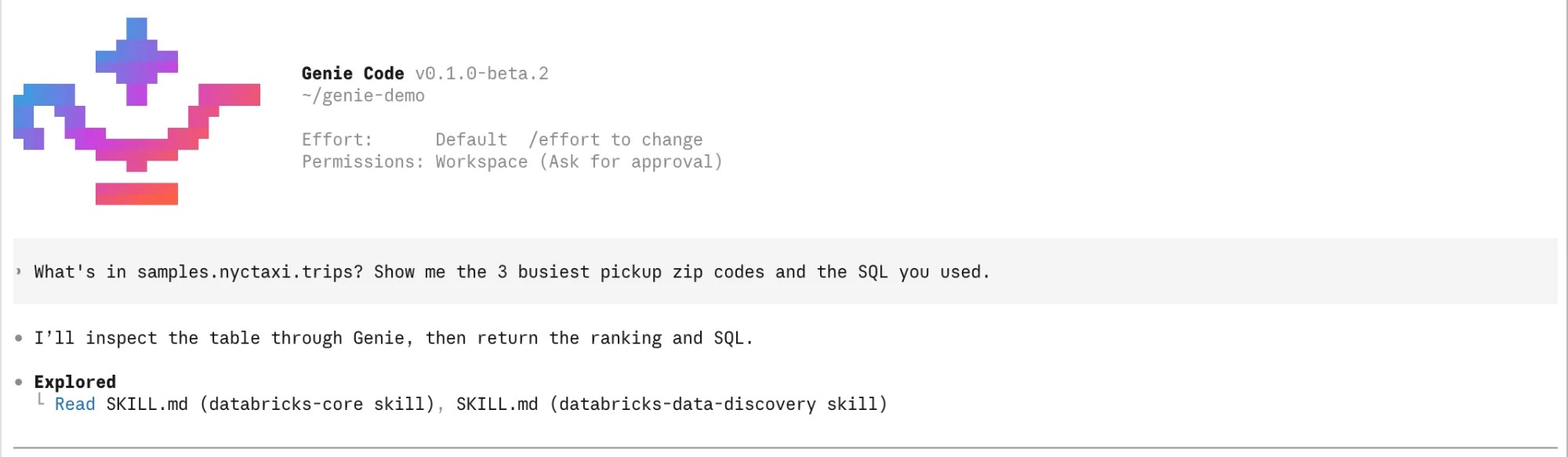 Genie reading its Databricks skills